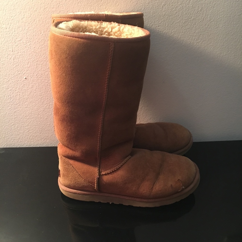Chestnut uggs